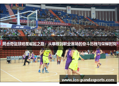 阿合奇篮球明星崛起之路：从草根到职业赛场的奋斗历程与荣耀时刻