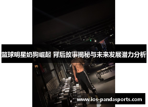 篮球明星奶狗崛起 背后故事揭秘与未来发展潜力分析