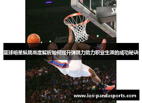 篮球明星纵跳高度解析如何提升弹跳力助力职业生涯的成功秘诀