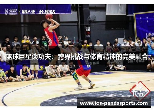 篮球巨星谈功夫：跨界挑战与体育精神的完美融合